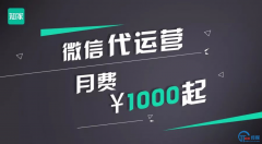 <b>微信代运营，月费1000起，这家公司为了中小企业拼尽全力</b>